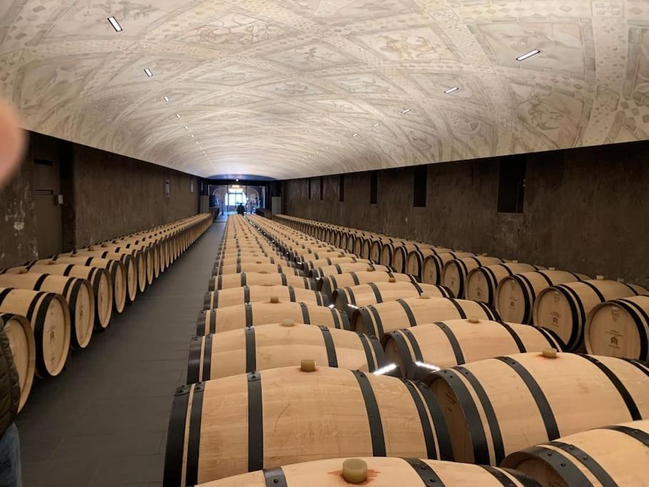 Studio Confortable Aux Portes De Bordeaux Et Medoc Ludon-Médoc Exterior photo